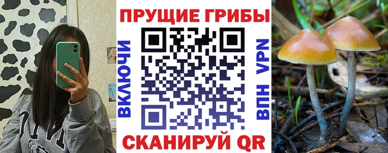 купить наркоту Лабытнанги Галлюциногенные грибы Cubensis